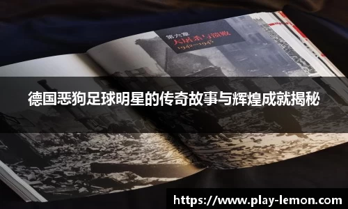 德国恶狗足球明星的传奇故事与辉煌成就揭秘